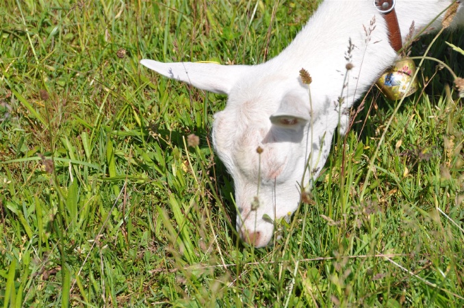 DSC_0342 - HOMEPAGE.JPG